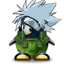 Penguin pingouin pinguino 247